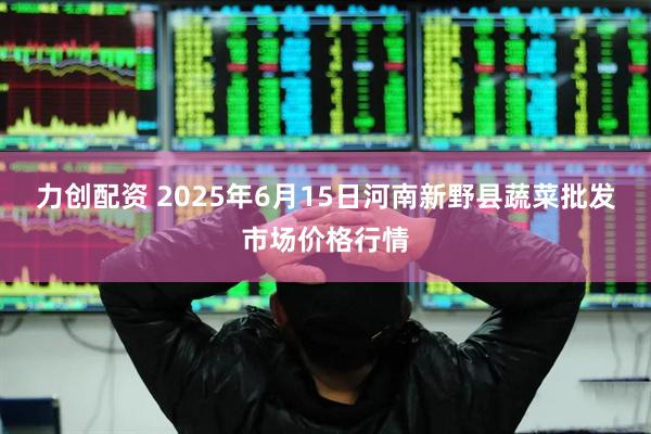 力创配资 2025年6月15日河南新野县蔬菜批发市场价格行情
