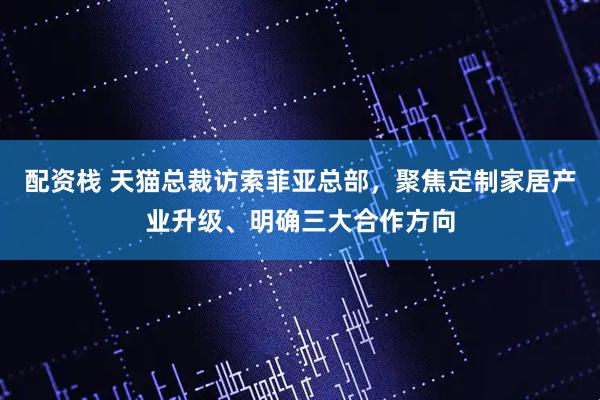 配资栈 天猫总裁访索菲亚总部，聚焦定制家居产业升级、明确三大合作方向