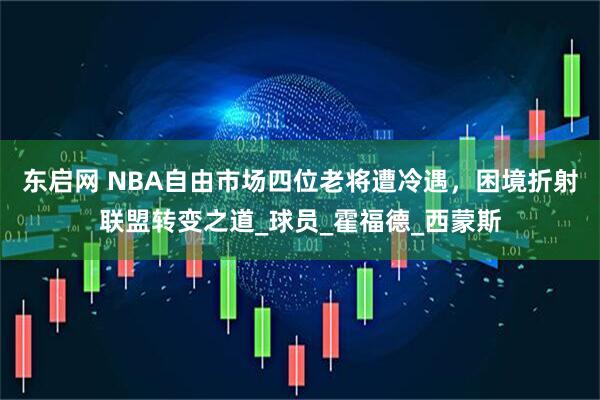 东启网 NBA自由市场四位老将遭冷遇，困境折射联盟转变之道_球员_霍福德_西蒙斯