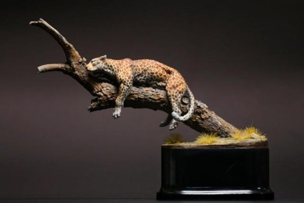 新玺配资 道法自然——超级培恩home