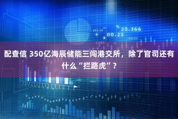 配查信 350亿海辰储能三闯港交所，除了官司还有什么“拦路虎”？